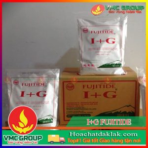 CHẤT ĐIỀU VỊ I+G FUJITIDE TÚI 1KG XUẤT XỨ THÁI LAN