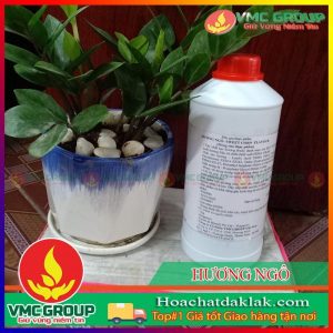HƯƠNG NGÔ THỰC PHẨM
