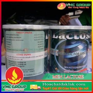 LACTOSE - MEN TRỘN HỖ TRỢ ĐƯỜNG RUỘT LON 500G VIỆT NAM