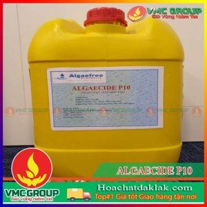 DIỆT RÊU TẢO - ALGAECIDE P10 CAN 25 LÍT XUẤT XỨ MỸ