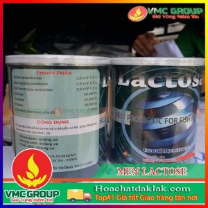 LACTOSE - MEN TRỘN HỖ TRỢ ĐƯỜNG RUỘT LON 500G VIỆT NAM
