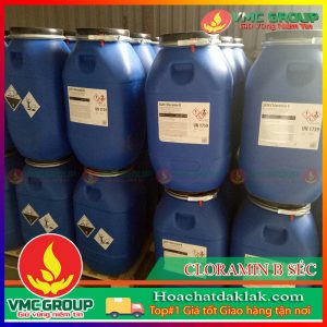 CLORAMIN B SÉC XỬ LÝ NƯỚC THÙNG 35KG MÀU TRẮNG DẠNG BỘT