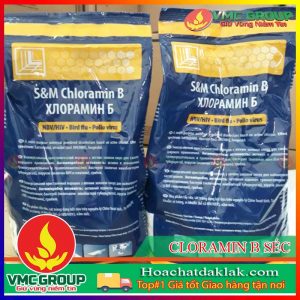 CLORAMIN B SÉC GÓI 1KG