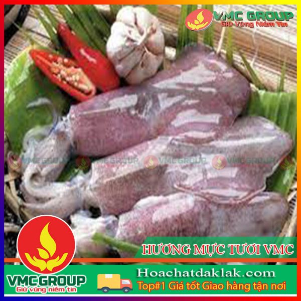 HƯƠNG MỰC TƯƠI VMC