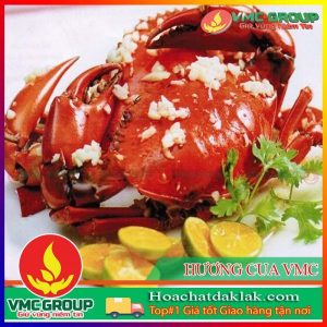 HƯƠNG CUA VMC