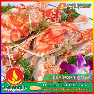 HƯƠNG GHẸ VMC XUẤT XỨ VIỆT NAM