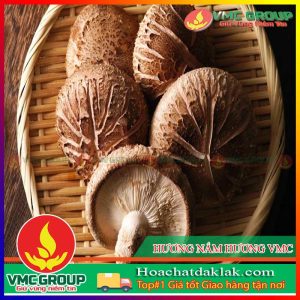 HƯƠNG NẤM HƯƠNG VMC