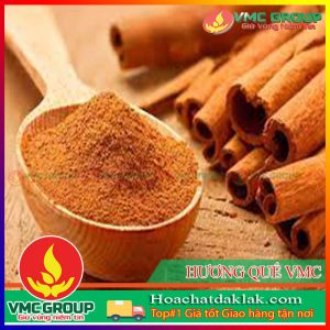 HƯƠNG QUẾ VMC